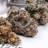Chemdawg (Chemdog)