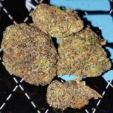 Gelato #47