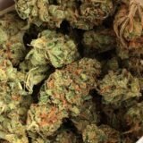 OG Kush