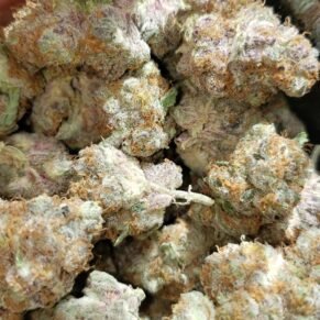Purple Urkle